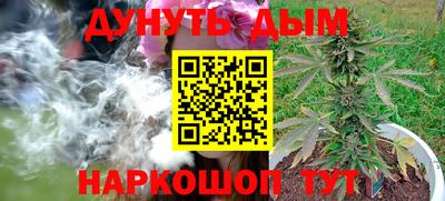 молекула духа Будённовск