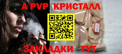 молекула духа Будённовск