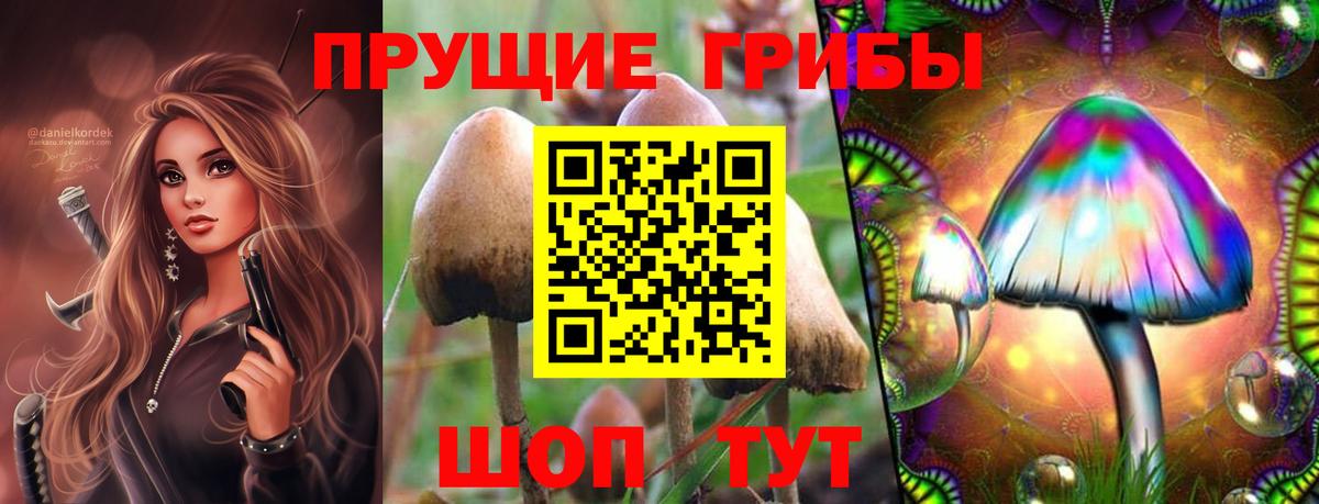 Сочи  Псилоцибиновые грибы прущие грибы  Галлюциногенные грибы мухоморы  Вход с VPN 