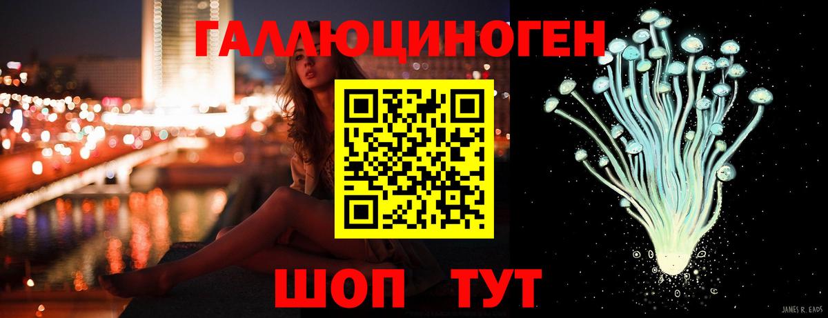 Псилоцибиновые грибы GOLDEN TEACHER Сочи